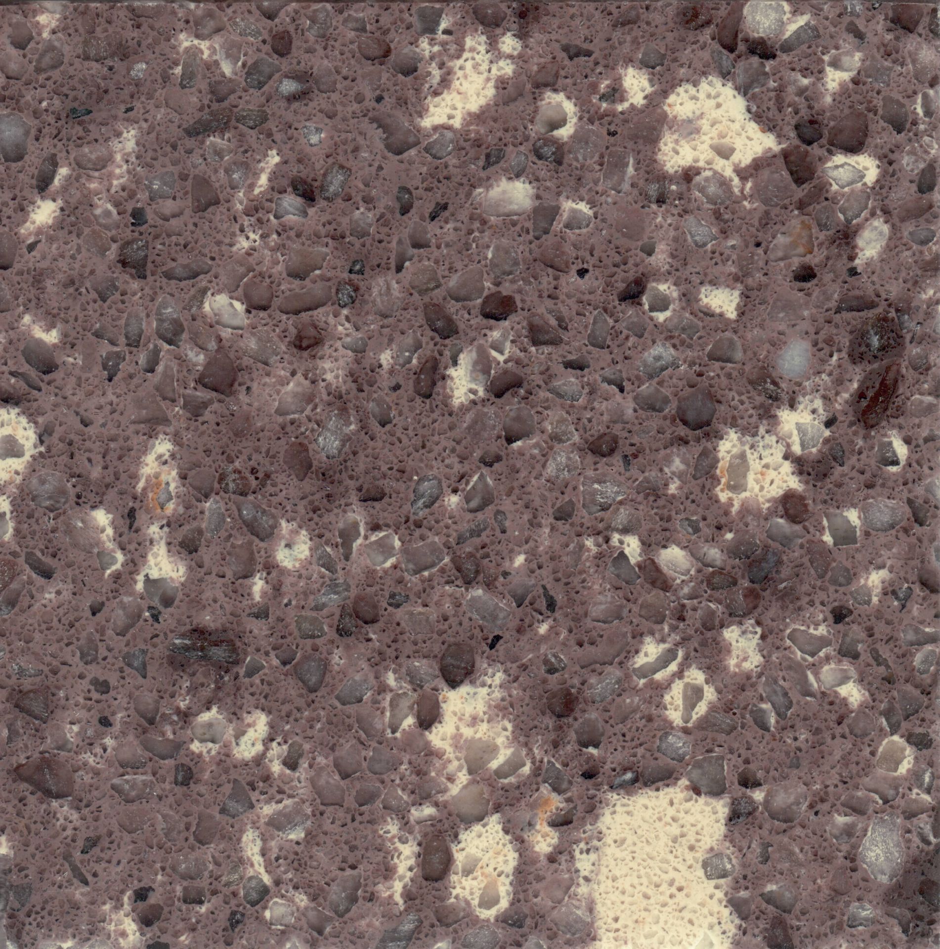 cacao_0015 cacao_0015