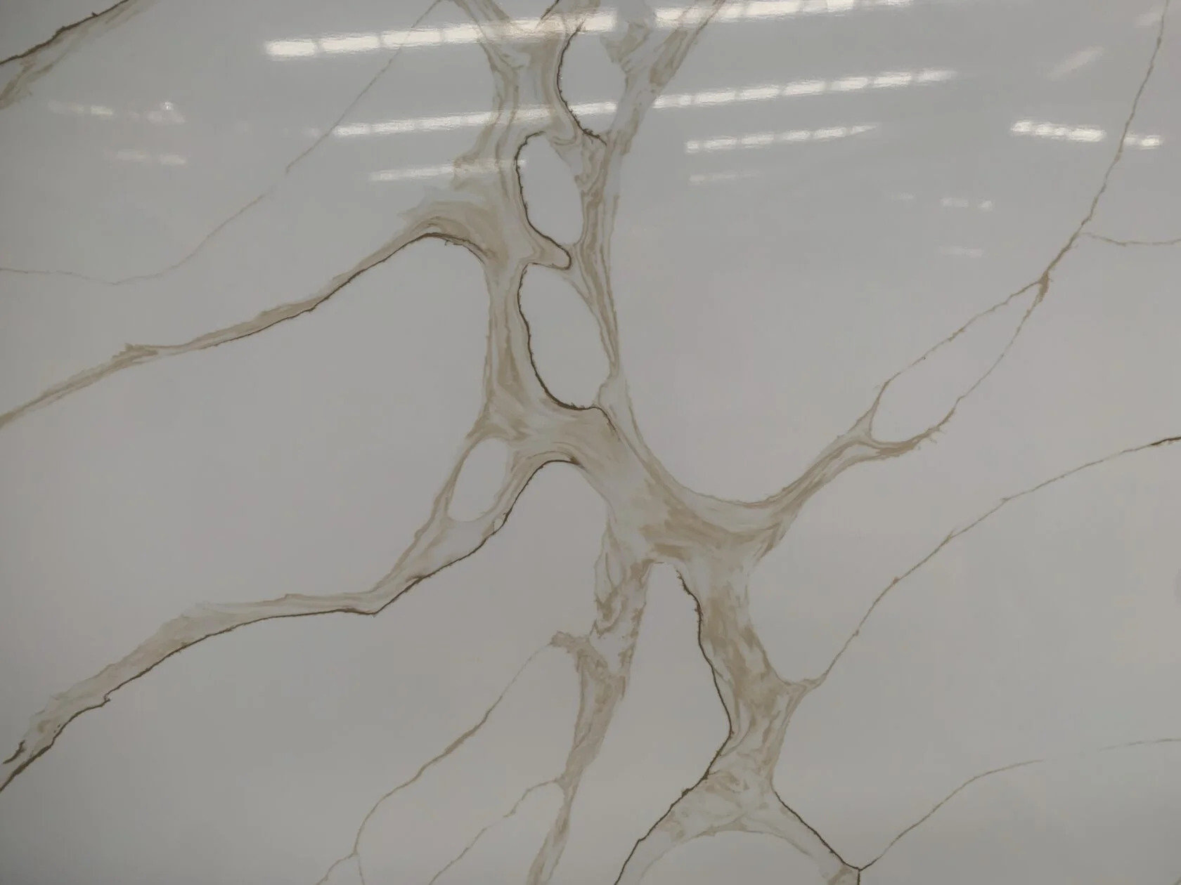 Calacatta_Gold7437-1