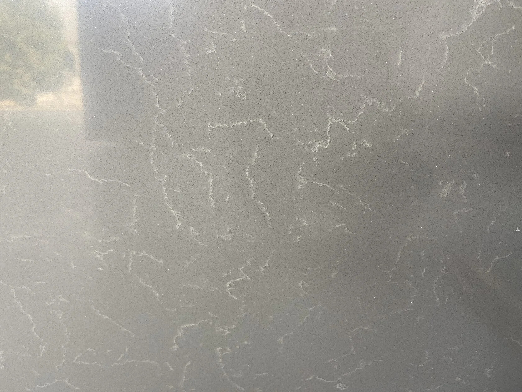 Phoenix_Grey_7362-1 Phoenix_Grey_7362-1